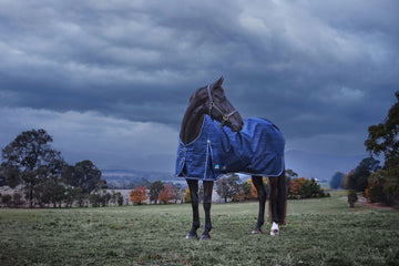 Weatherbeeta ComFiTec Prelim Turnout - Navy Embossed Plaid (220g)